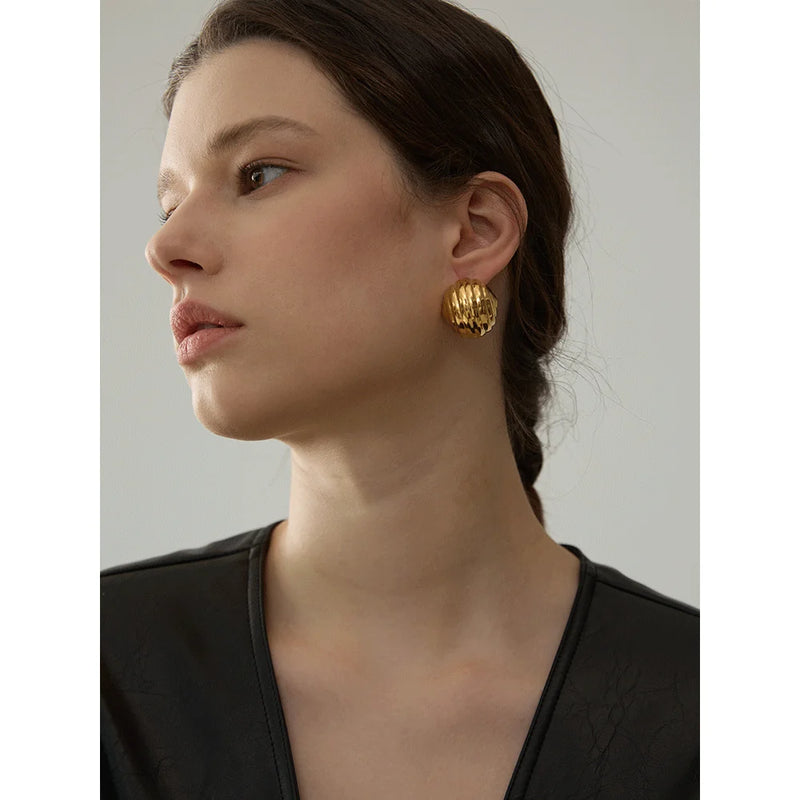 Unusual Stainless Steel Earrings