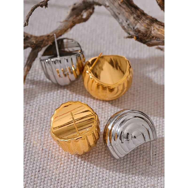 Unusual Stainless Steel Earrings