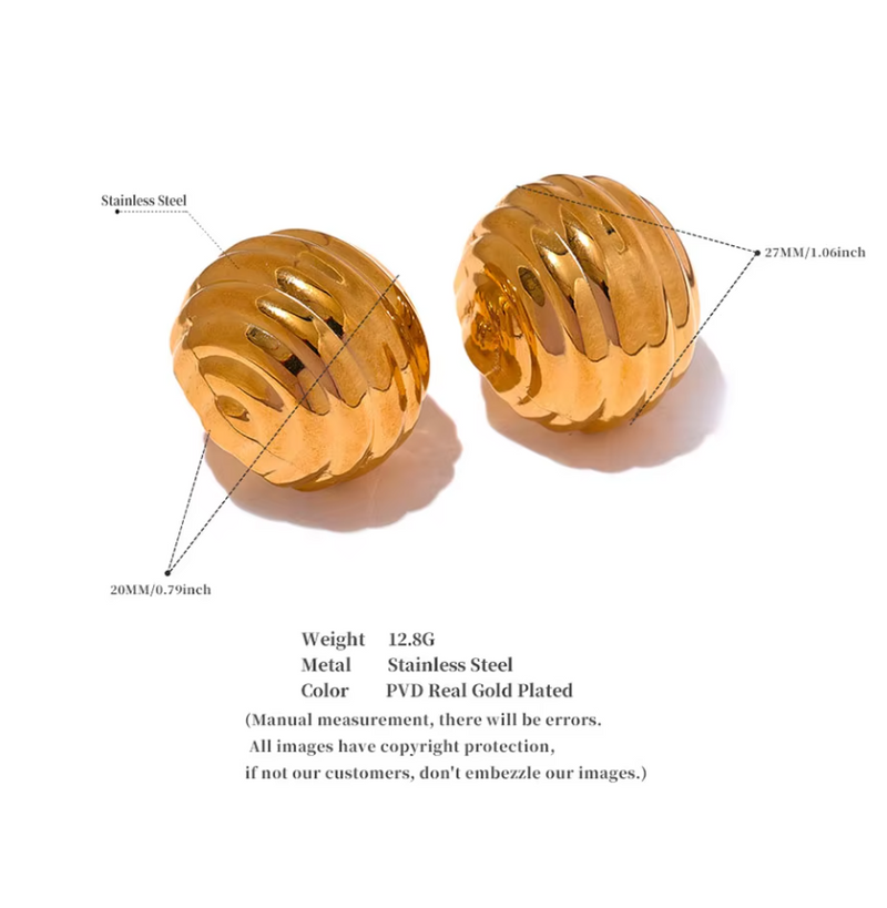 Unusual Stainless Steel Earrings